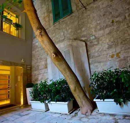 Fabris Palace تراني